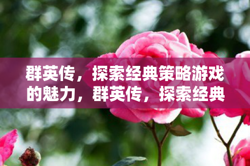 探索经典策略游戏的魅力图片