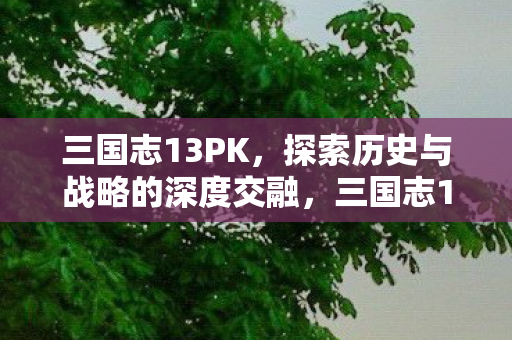 探索历史与战略的深度交融图片