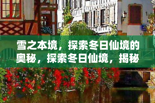 探索冬日仙境的奥秘图片
