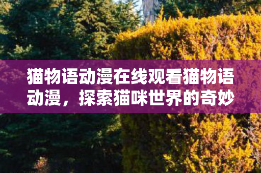 猫物语动漫在线观看猫物语动漫，探索猫咪世界的奇妙之旅，猫物语，探索猫咪世界的奇妙之旅