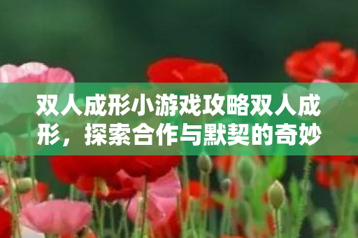 双人成形小游戏攻略双人成形图片