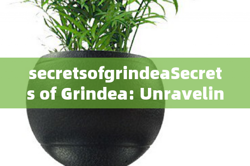 Unraveling the World of Private Servers图片