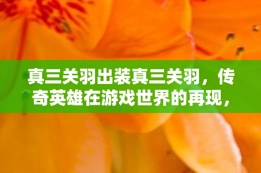 传奇英雄在游戏世界的再现图片