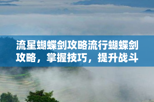 流星蝴蝶剑攻略流行蝴蝶剑攻略图片