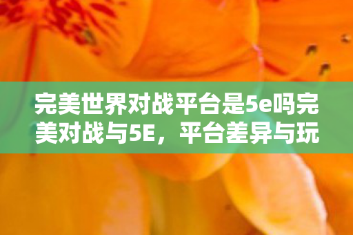 完美世界对战平台是5e吗完美对战与5E图片