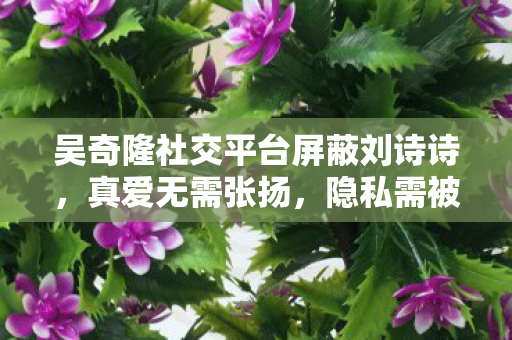 吴奇隆社交平台屏蔽刘诗诗图片