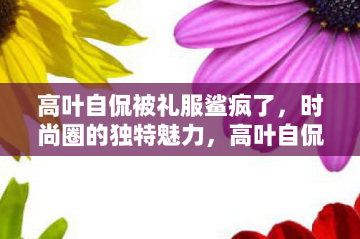 高叶自侃被礼服鲨疯了图片