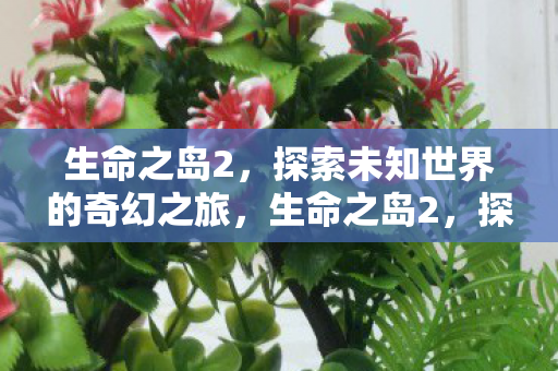 探索未知世界的奇幻冒险之旅图片