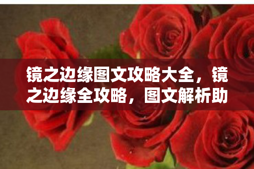 镜之边缘图文攻略大全图片