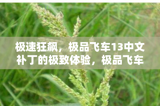 极品飞车13中文补丁的极致体验图片