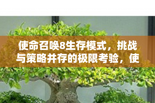 生存模式挑战与策略并存的极限考验图片