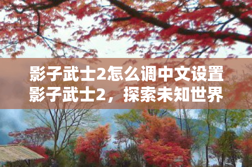 影子武士2怎么调中文设置影子武士2图片