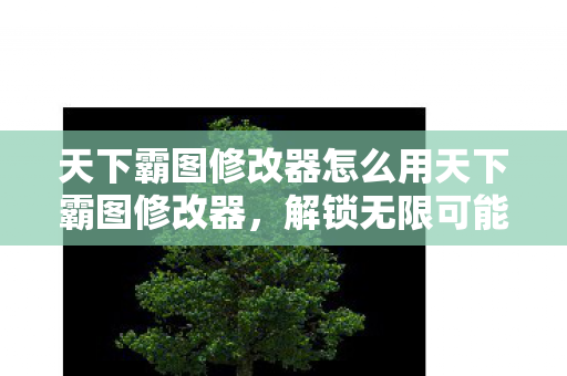 天下霸图修改器怎么用天下霸图修改器图片