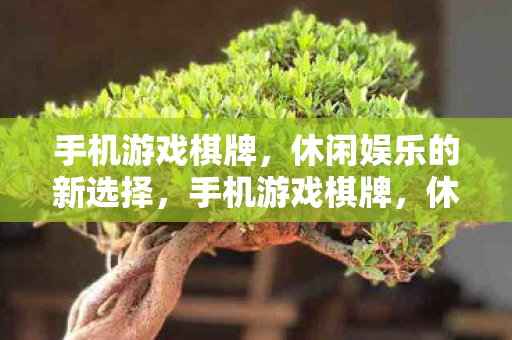 休闲娱乐的新选择图片