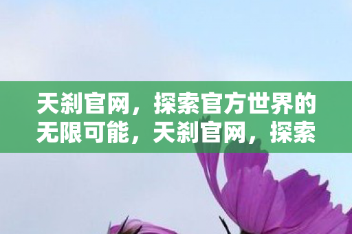 探索官方世界的无限可能图片