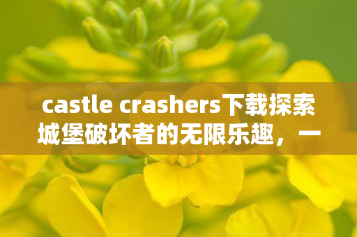 castle crashers下载探索城堡破坏者的无限乐趣图片
