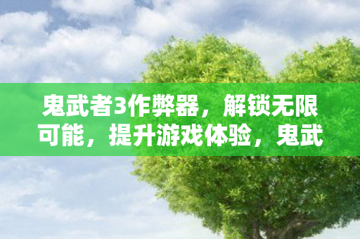 鬼武者3作弊器图片