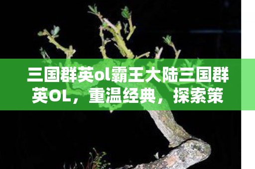 三国群英ol霸王大陆三国群英OL图片