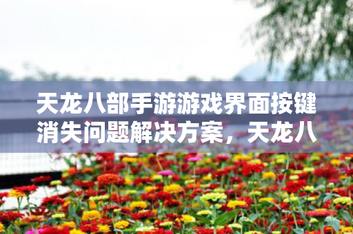 天龙八部手游游戏界面按键消失问题解决方案图片