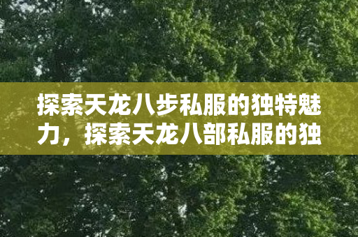 探索天龙八步私服的独特魅力图片