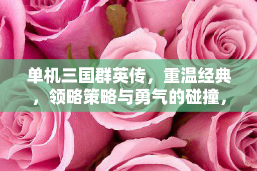 领略策略与勇气的碰撞图片