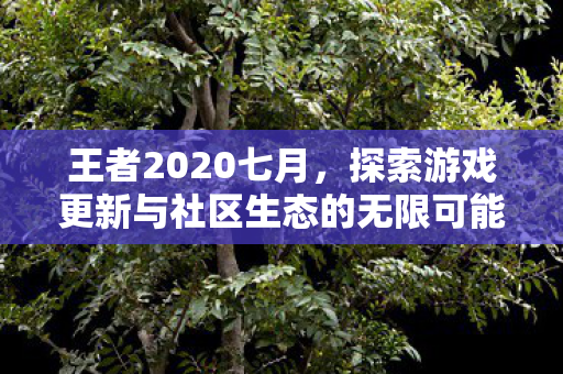 探索游戏更新与社区生态的无限可能图片