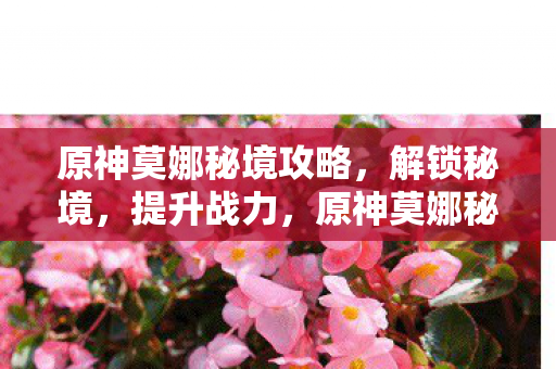 原神莫娜秘境攻略图片