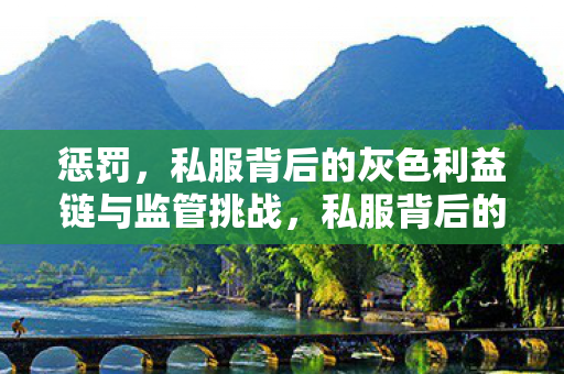 私服背后的灰色利益链与监管挑战图片