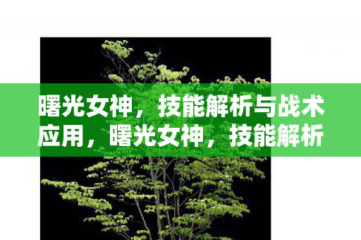 技能解析与战术应用全解析图片