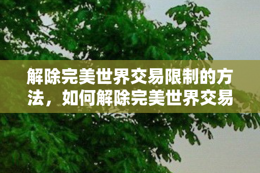 解除完美世界交易限制的方法图片
