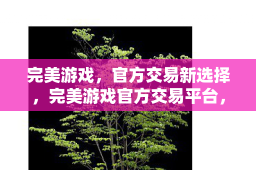 完美游戏官方交易平台图片