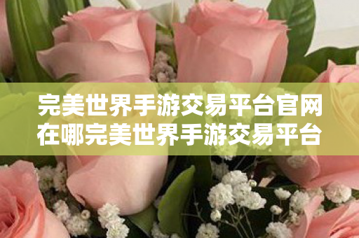 完美世界手游交易平台官网在哪完美世界手游交易平台官网图片