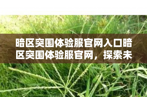 暗区突围体验服官网入口暗区突围体验服官网图片