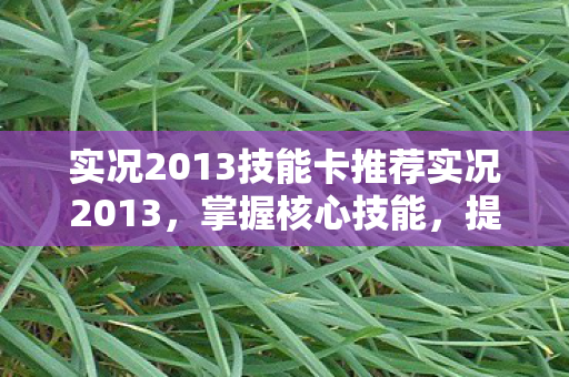 实况2013技能卡推荐实况2013图片