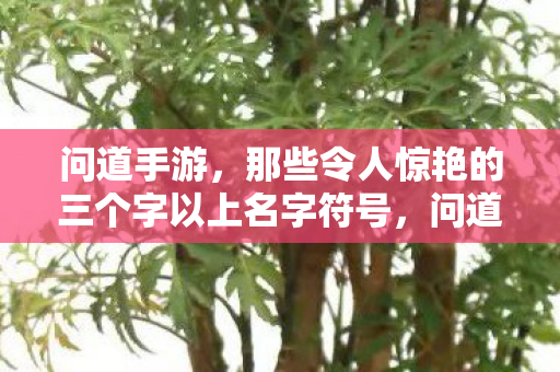 问道手游，那些令人惊艳的三个字以上名字符号，问道手游，独特三字以上名字符号，打造惊艳游戏昵称