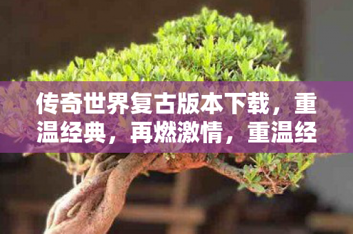 传奇世界复古版本下载图片
