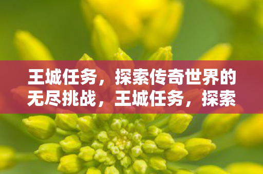 探索传奇世界的无尽挑战图片