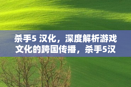 深度解析游戏文化的跨国传播图片