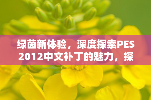 深度探索PES2012中文补丁的魅力图片