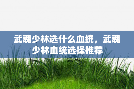 武魂少林血统选择推荐图片
