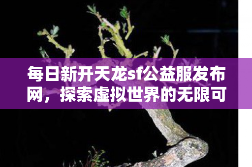 每日新开天龙sf公益服发布网图片