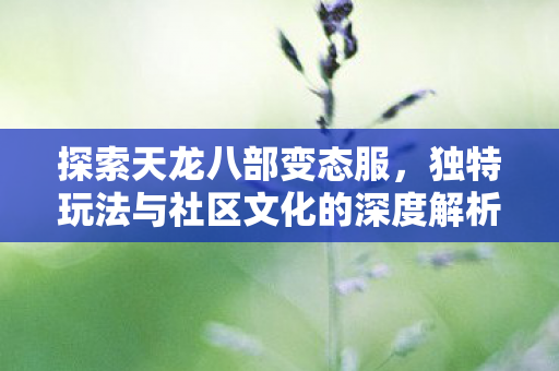 独特玩法与社区文化的深度解析图片