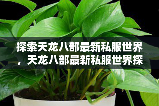 天龙八部最新私服世界探索之旅图片