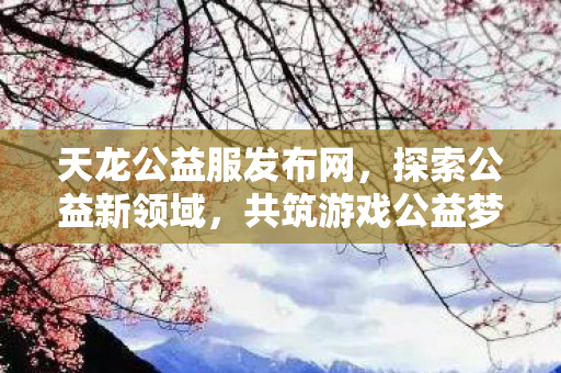 天龙公益服发布网图片