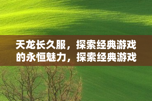探索经典游戏天龙八部的永恒魅力图片