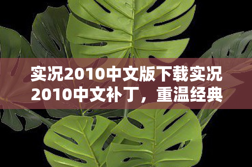 实况2010中文版下载实况2010中文补丁图片