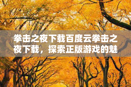 拳击之夜下载百度云拳击之夜下载图片