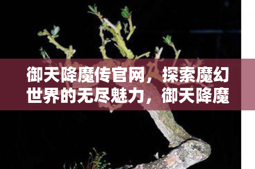 探索魔幻世界的无尽魅力图片