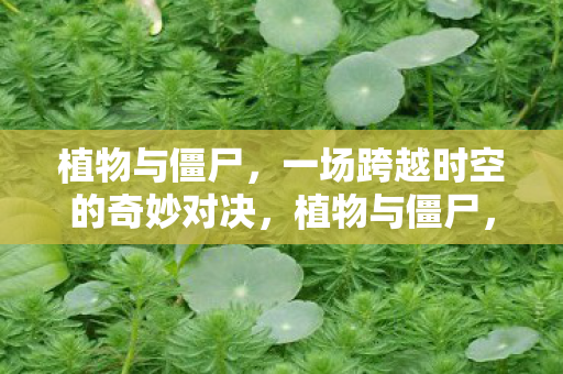 一场跨越时空的奇妙对决图片