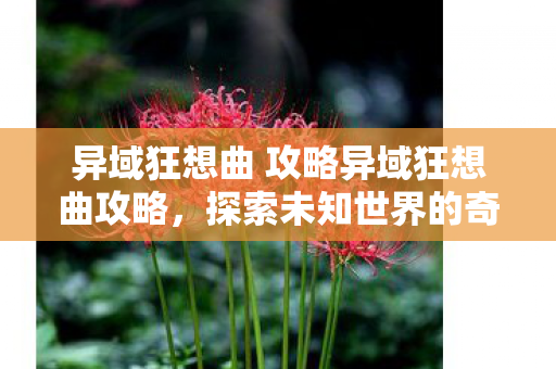 异域狂想曲 攻略异域狂想曲攻略图片